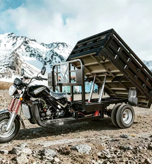 Electric cargo tricycle with dump bed for goods transport - VEXOTS factory direct