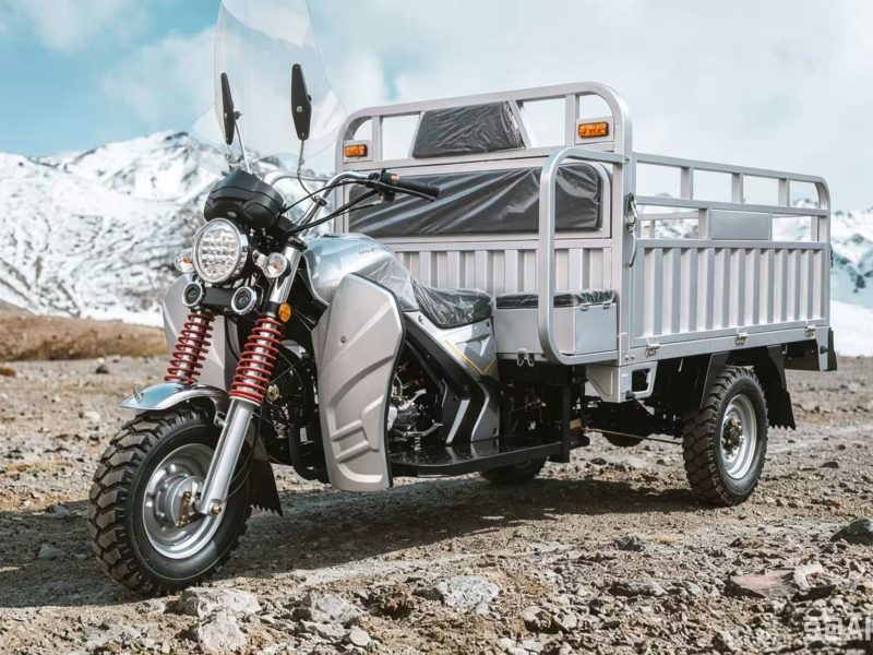 Enclosed electric tricycle cabin 3 wheeler for cargo and passenger - VEXOTS