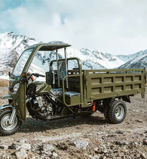 Passenger auto rickshaw tuk tuk three wheeler taxi vehicle - VEXOTS manufacturer